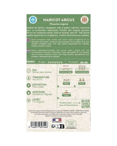 Haricot mangetout nain à filet Argus