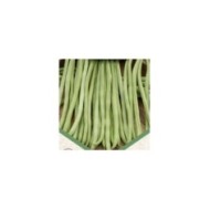 Haricot nain mangetout sans fil Oxinel