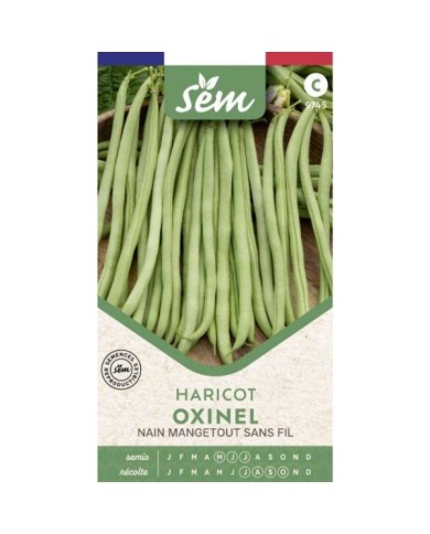 Haricot nain mangetout sans fil Oxinel