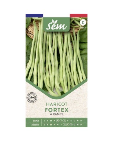 Haricot à rame sans fil Fortex