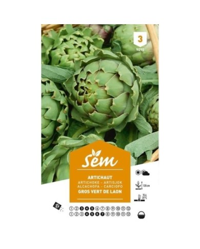 Artichaut gros vert de Laon (sachet)