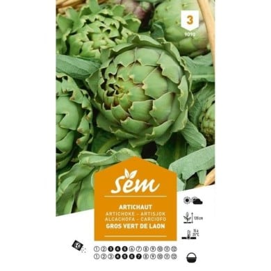 Artichaut gros vert de Laon (sachet)