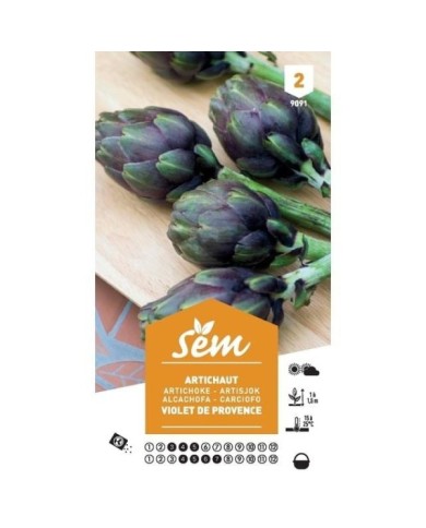 Artichaut 'Violet de Provence' (sachet)