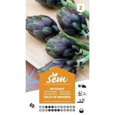 Artichaut 'Violet de Provence' (sachet)