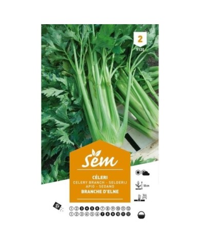 Céleri branche d'Elne (sachet)