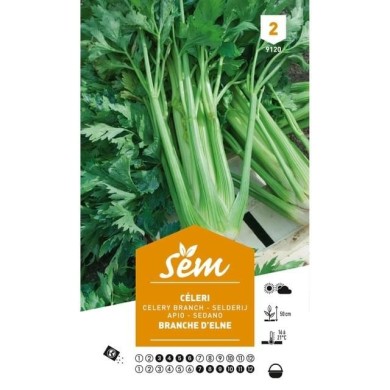 Céleri branche d'Elne (sachet)