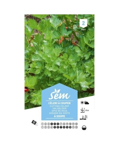 Céleri à couper ( à soupe) (sachet)