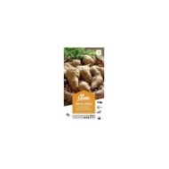 Cerfeuil tubéreux (sachet)