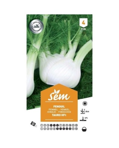Fenouil Tauro F1 (sachet)