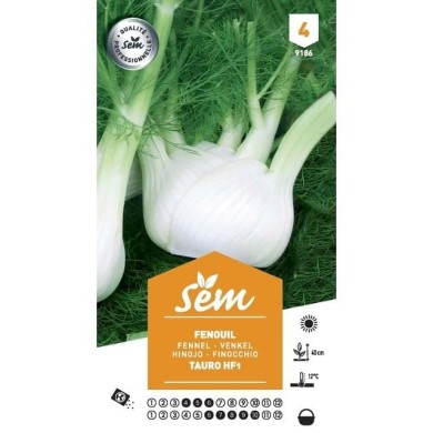 Fenouil Tauro F1 (sachet)