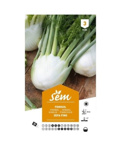 Fenouil Zefa Fino (sachet)