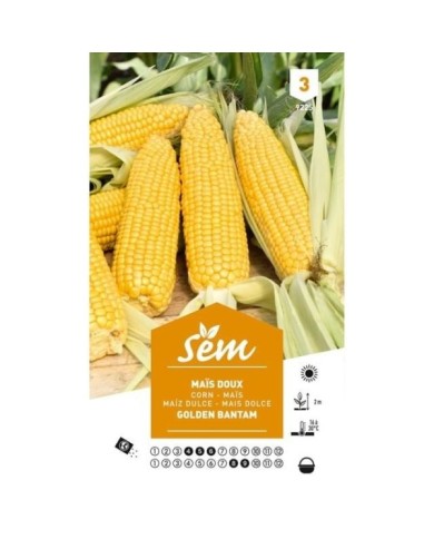 Maïs doux Golden Bantam (sachet)