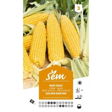 Maïs doux Golden Bantam (sachet)