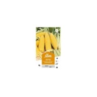 Maïs doux Golden Bantam (sachet)