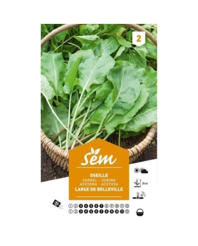 Oseille (sachet)