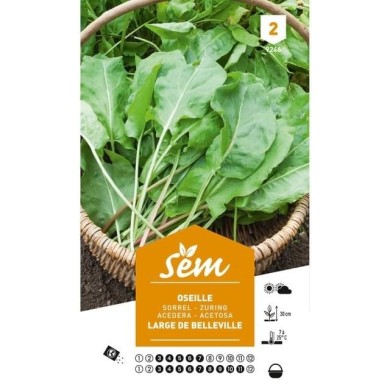 Oseille (sachet)
