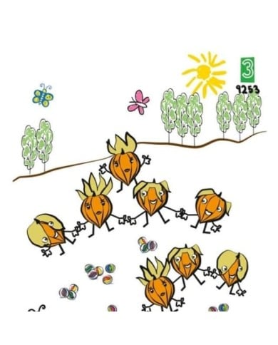 Physalis Cerise de terre gamme kids