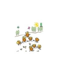 Physalis Cerise de terre gamme kids