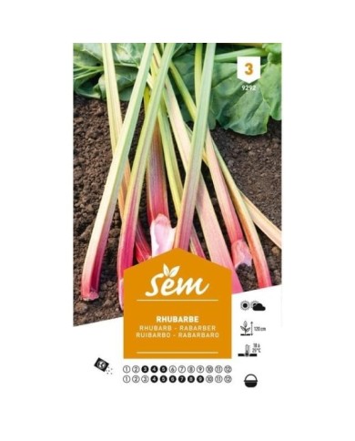 Rhubarbe (sachet)