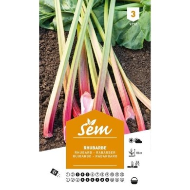 Rhubarbe (sachet)
