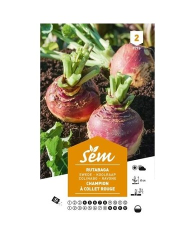 Rutabaga Champion à collet rouge (sachet)