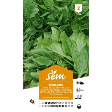 Tétragone (sachet)
