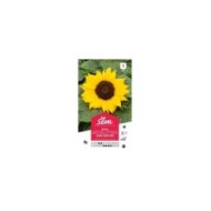 Soleil / Tournesol à coeur noir (sachet)