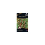 épinard fraise (chenopodium capitatum) (sachet)