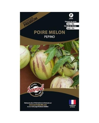 Poire melon pepino (solanum muricatum) (sachet)