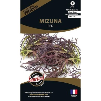 Brassica japonica mizuna red (sachet)