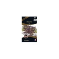 Brassica japonica mizuna red (sachet)