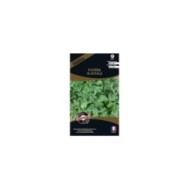 Ficoïde glaciale (mesembryanthemum crystallum) (sachet)