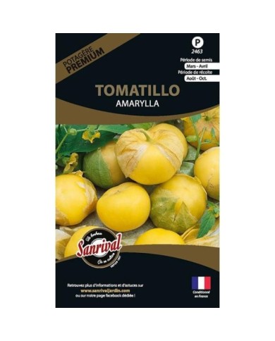 Physalis amarylla (tomatillo) (ixocarpa) (sachet)