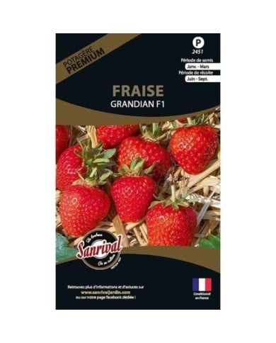 Fraise Grandian F1 (sachet)