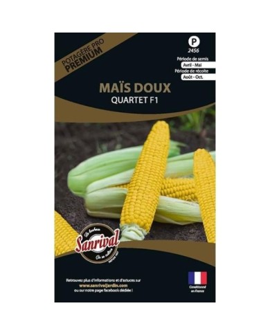 Maïs doux Gucio HF1 (sachet)