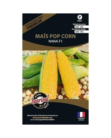Maïs pop corn Nana F1 (sachet)