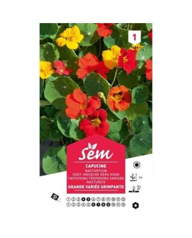 Capucine grande variée grimpante (sachet)