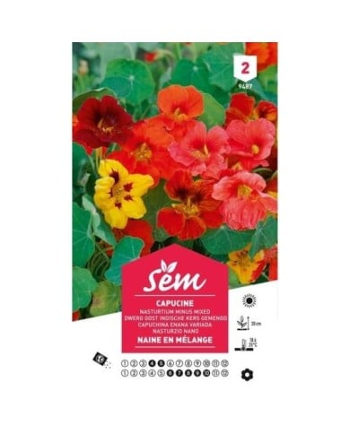 Capucine naine en mélange (sachet)