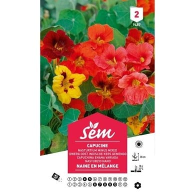 Capucine naine en mélange (sachet)