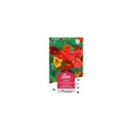 Capucine naine en mélange (sachet)