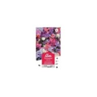 Pois de senteur varié Spencer (sachet)