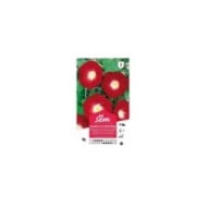 Volubilis à fleur rouge (sachet)