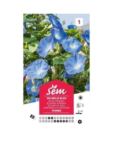 Volubilis bleu (sachet)