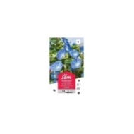Volubilis bleu (sachet)