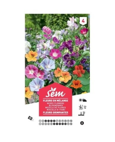 Fleurs grimpantes en mélange XXL (sachet)