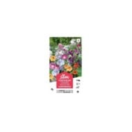 Fleurs grimpantes en mélange XXL (sachet)