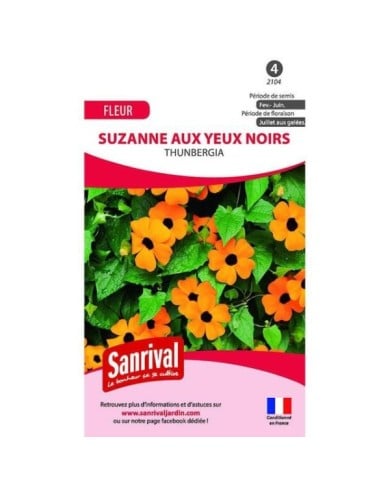 Suzanne aux yeux noirs (sachet)