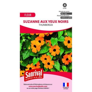 Suzanne aux yeux noirs (sachet)