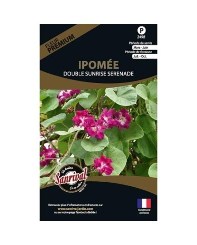 Ipomée  double sunrise serenade (sachet)