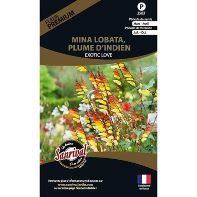 Mina lobata - plume d’indien exotic love (sachet)
